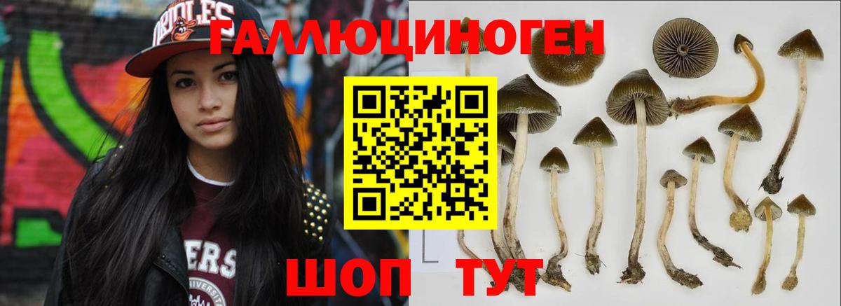 Псилоцибиновые грибы Magic Shrooms  Вход с VPN  Луховицы 
