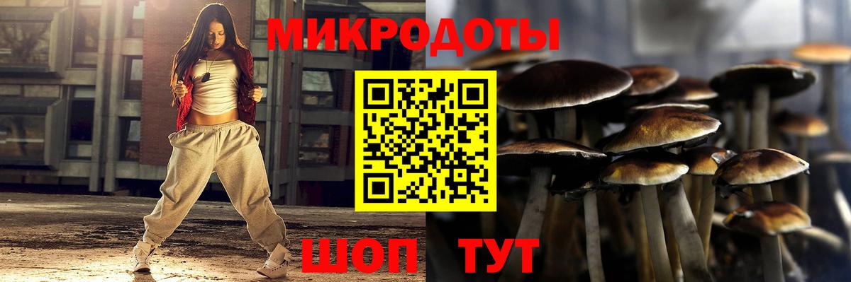 Галлюциногенные грибы мицелий Луховицы